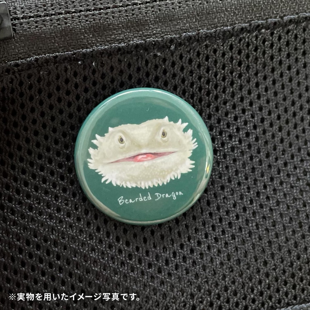 フトアゴヒゲトカゲ 正面顔缶バッチ