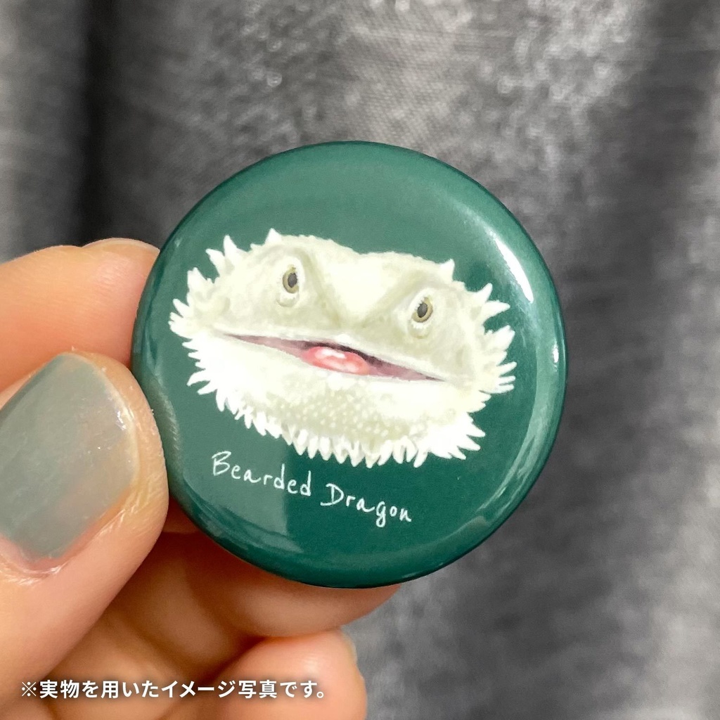 フトアゴヒゲトカゲ 正面顔缶バッチ