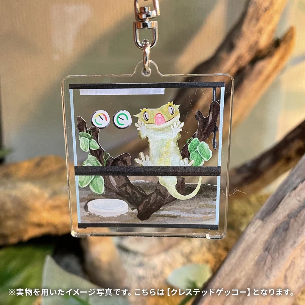 爬虫類ケージ アクリルキーホルダー(ラコダクティルス)