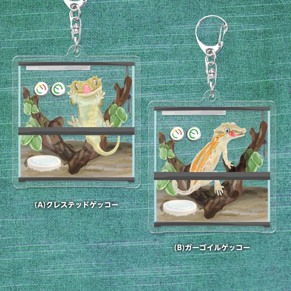 爬虫類ケージ アクリルキーホルダー(ラコダクティルス)