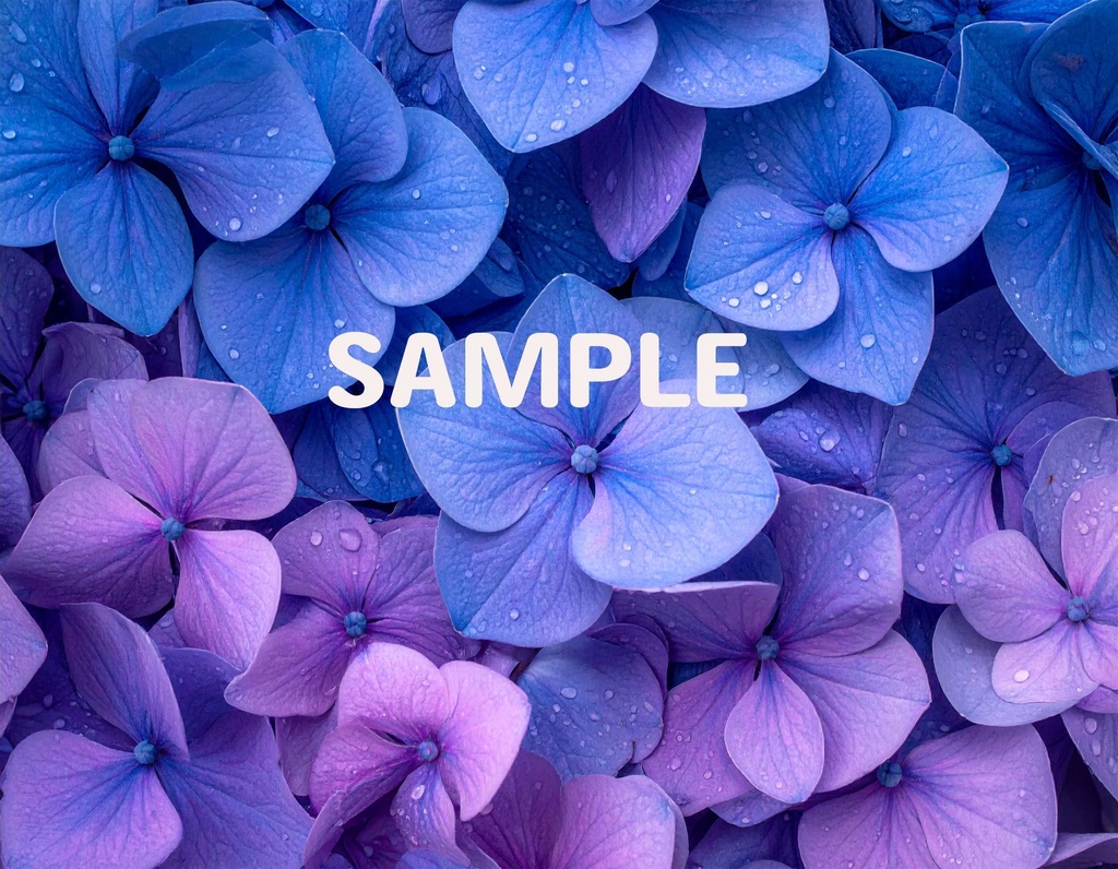 【AI生成】「Rainy Blue」- 雫を纏う花々の壁紙・背景素材集(12枚セット)
