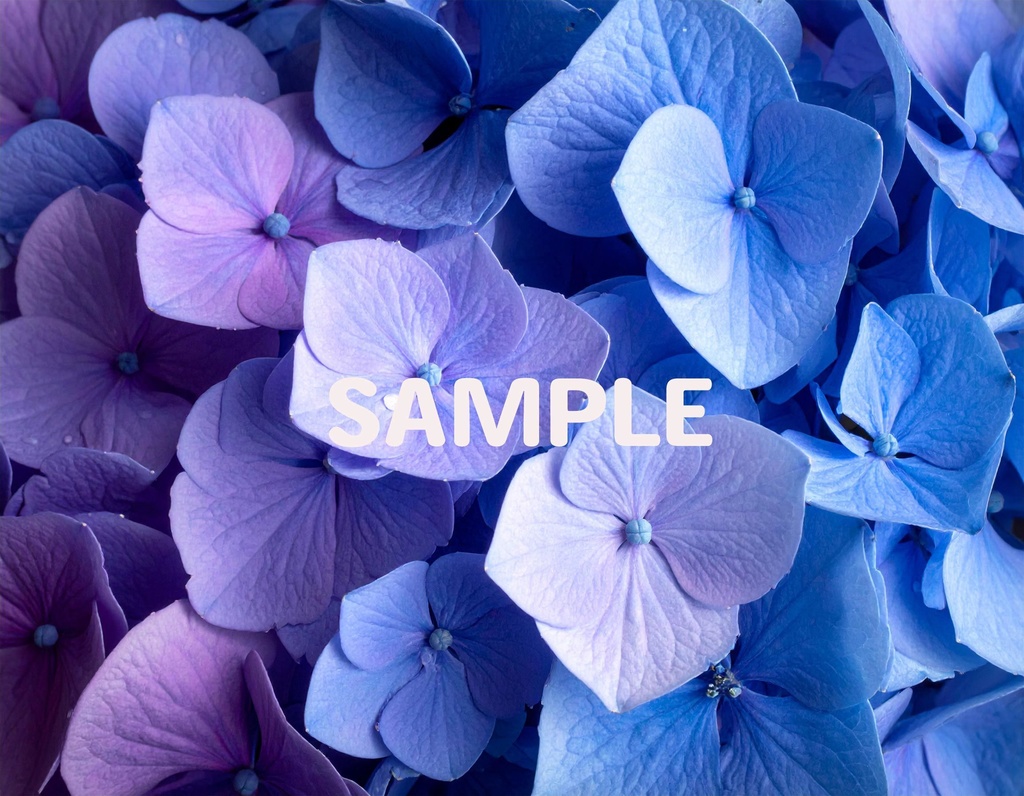 【AI生成】「Rainy Blue」- 雫を纏う花々の壁紙・背景素材集(12枚セット)