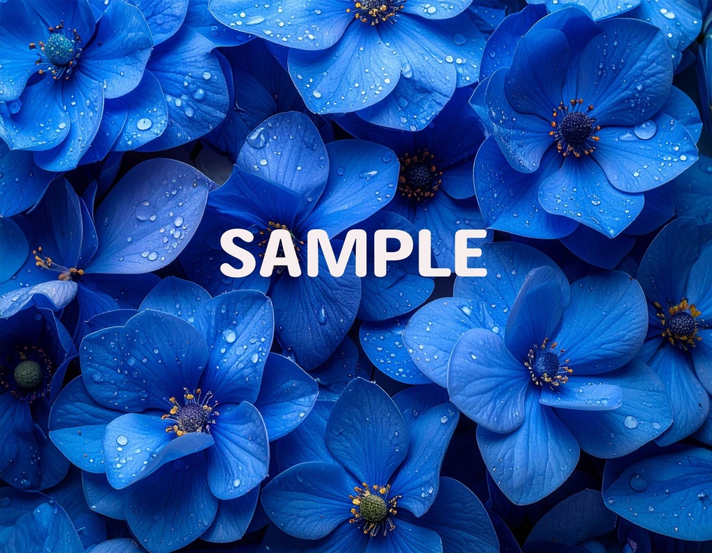 【AI生成】「Rainy Blue」- 雫を纏う花々の壁紙・背景素材集(12枚セット)