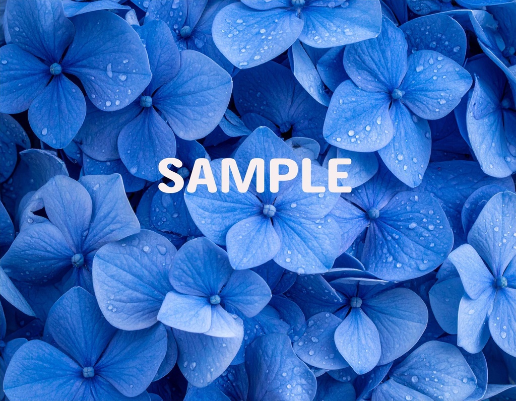 【AI生成】「Rainy Blue」- 雫を纏う花々の壁紙・背景素材集(12枚セット)