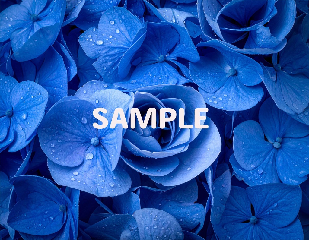 【AI生成】「Rainy Blue」- 雫を纏う花々の壁紙・背景素材集(12枚セット)