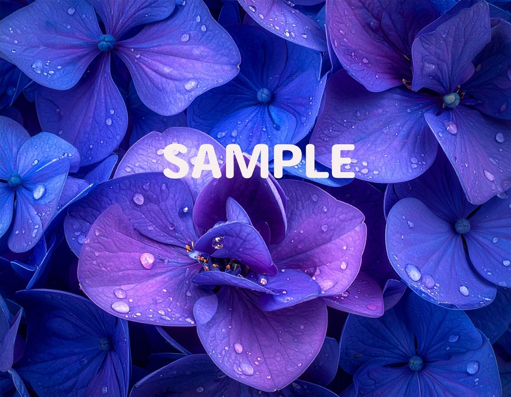 【AI生成】「Rainy Blue」- 雫を纏う花々の壁紙・背景素材集(12枚セット)