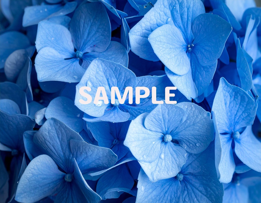 【AI生成】「Rainy Blue」- 雫を纏う花々の壁紙・背景素材集(12枚セット)