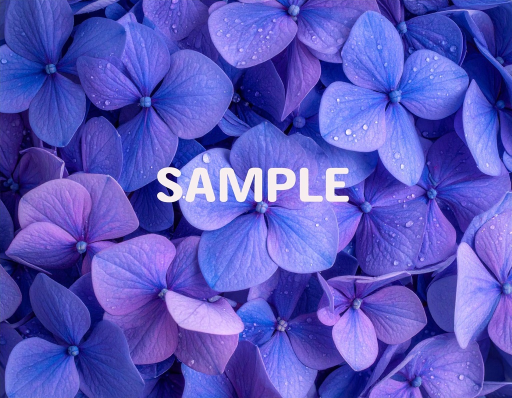 【AI生成】「Rainy Blue」- 雫を纏う花々の壁紙・背景素材集(12枚セット)