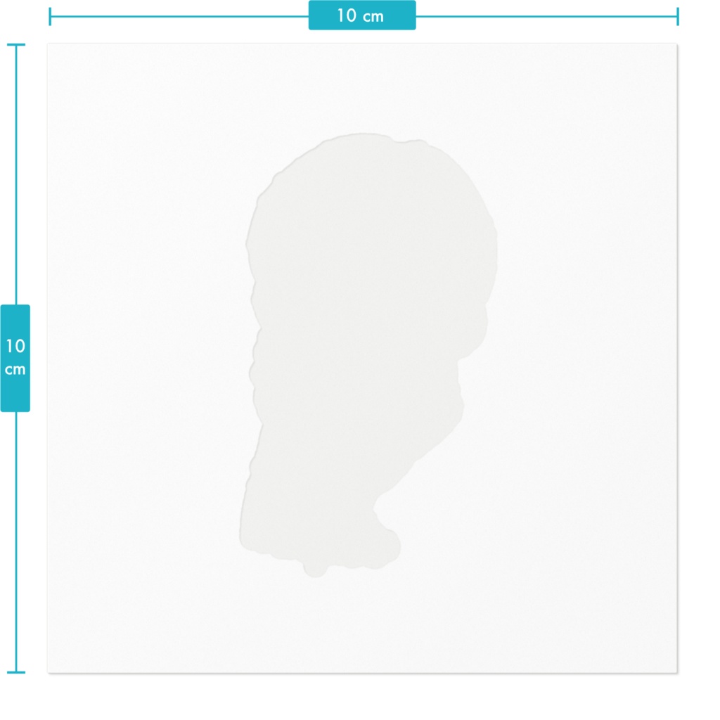 マフラーちゃん