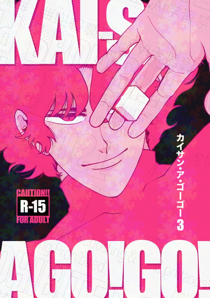 KAI-SAN A GO!GO! 3(全文web公開済み)