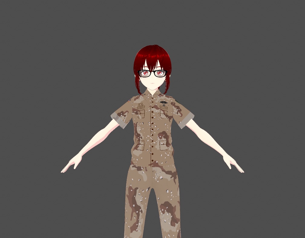 US Army 1st Cavalry Division Arid Camo 