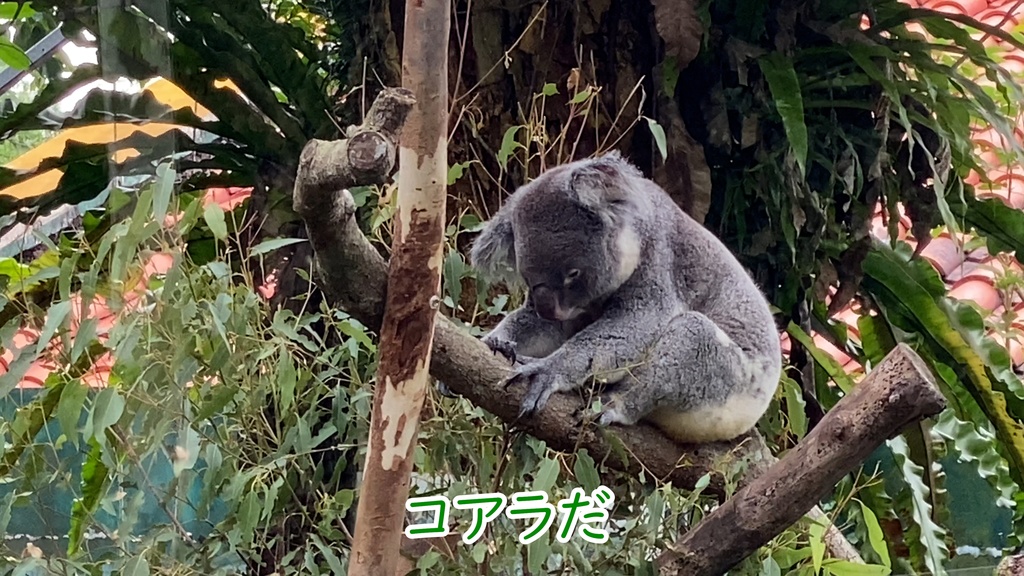 カラオケ風テロップとアニメーションプリセット