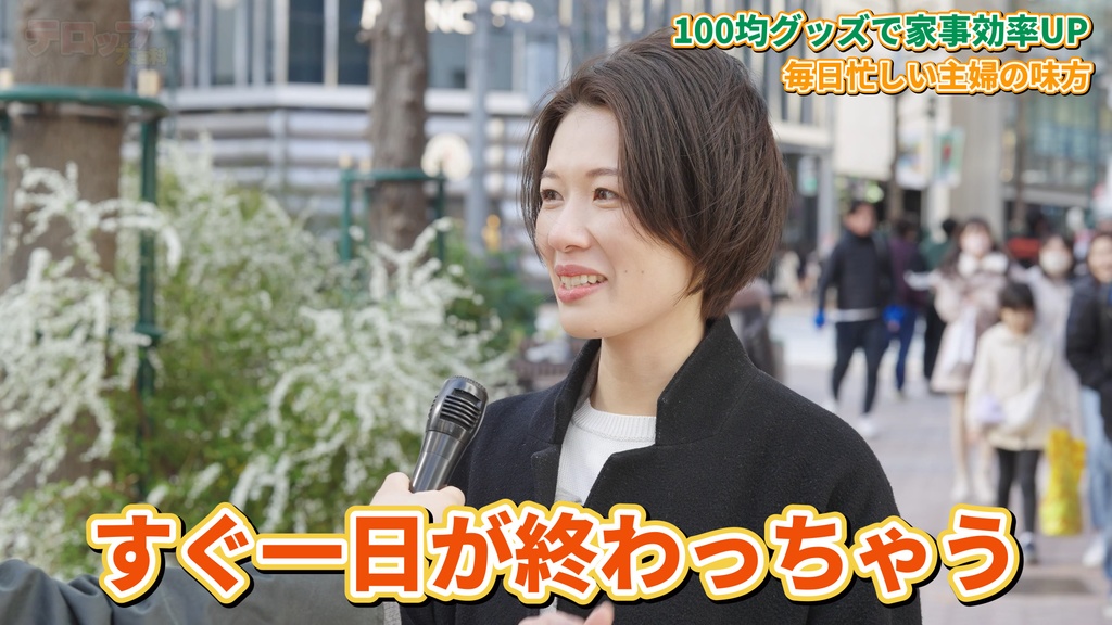 【DaVinci Resolve】無料サンプル付テレビ番組風テロップテンプレート245点 – 動画編集の効率アップに!