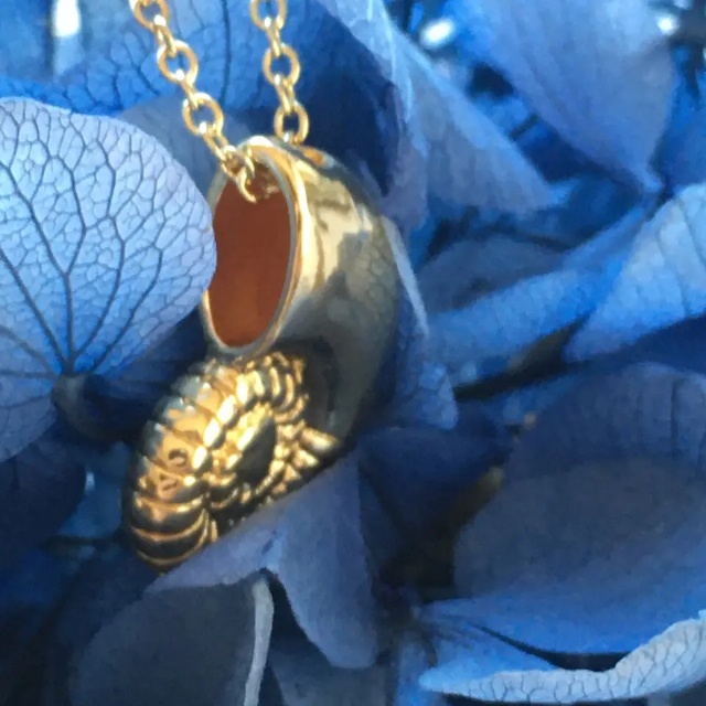 再販✖️6 夜の魔術部 アースラ ヴァネッサ 金色 巻貝 ネックレス