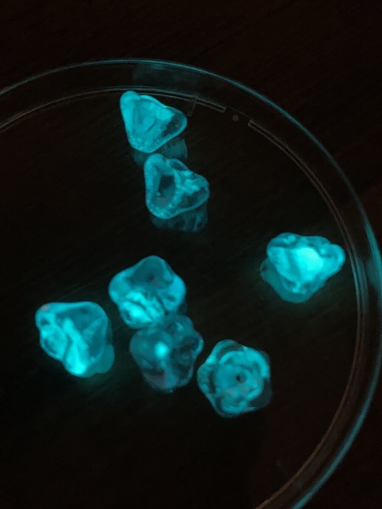 夜の魔術部 暗闇で光る 物語に留まる蝶と夜光花 しおり ブックマーカー