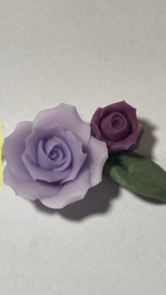 注意事項必読★ブルームバースデー アズール 薔薇と星のピアス イヤリング 深海うつぼ