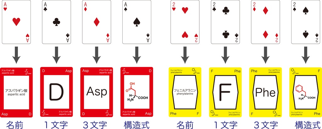 アミノ酸トランプ