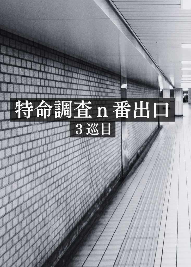 特命調査n番出口3巡目