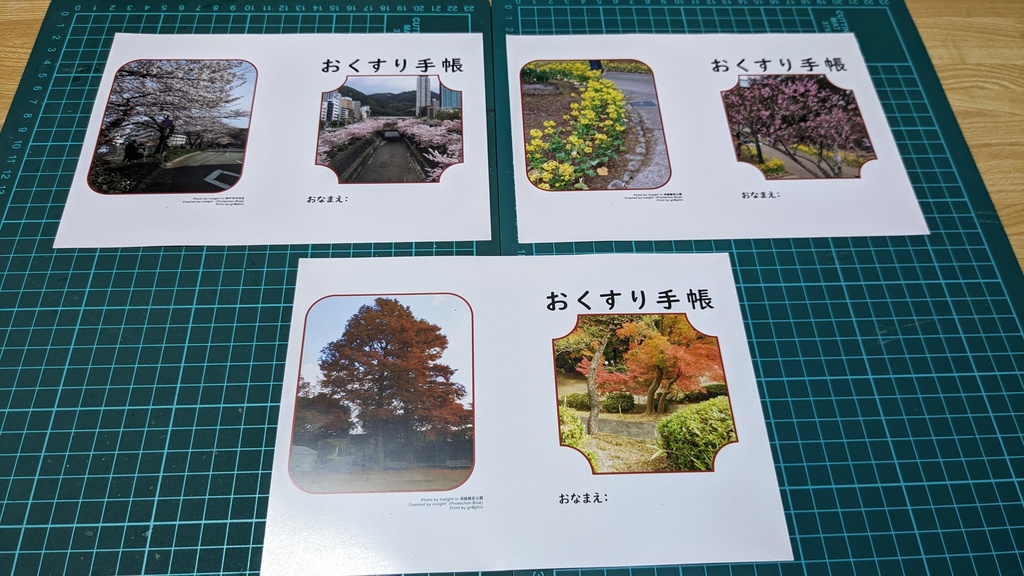 お薬手帳スキン(風景版)