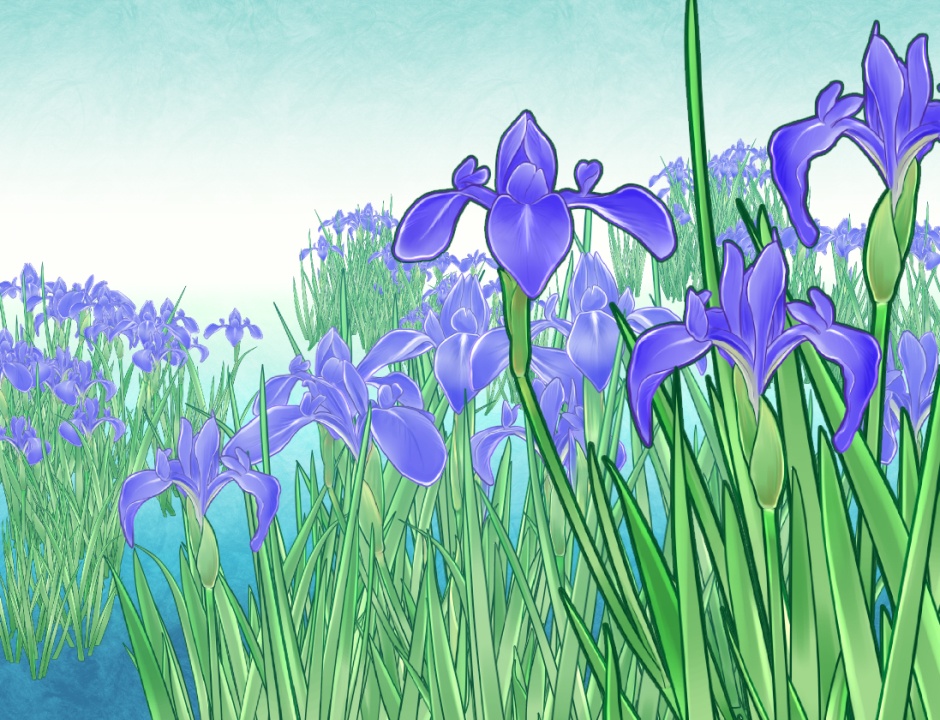 カキツバタブラシセット カラー/クリスタ