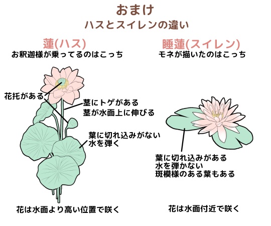 蓮ブラシセット/クリスタ