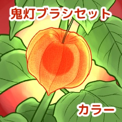 鬼灯ブラシセット/カラー/クリスタ
