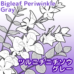 ツルニチニチソウブラシセット グレー/クリスタ