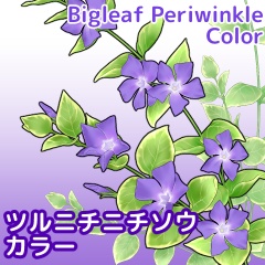 ツルニチニチソウブラシセット カラー/クリスタ