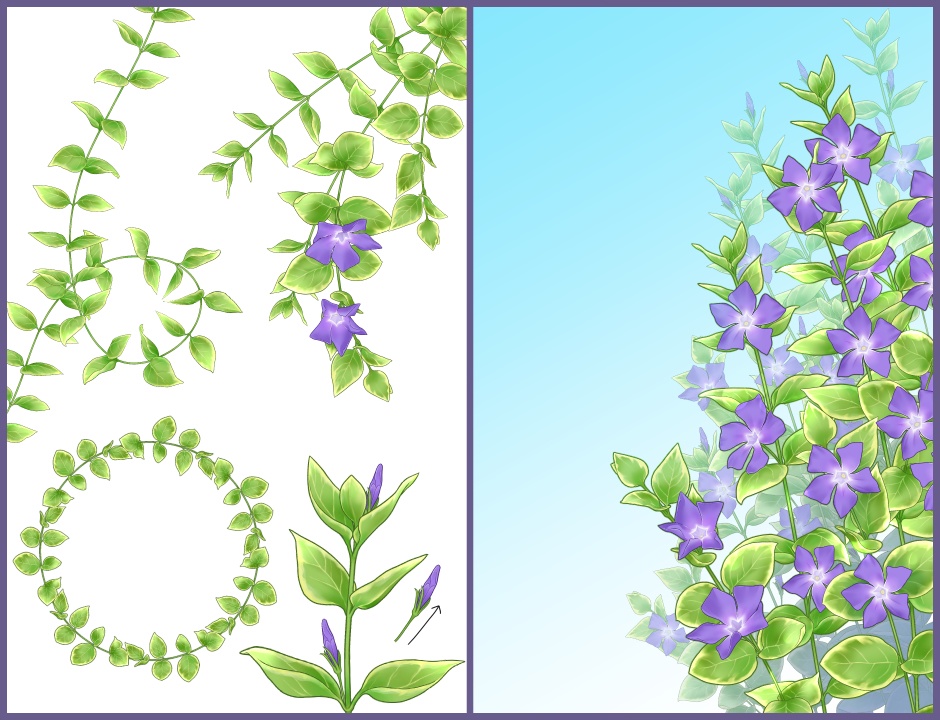 ツルニチニチソウブラシセット カラー/クリスタ