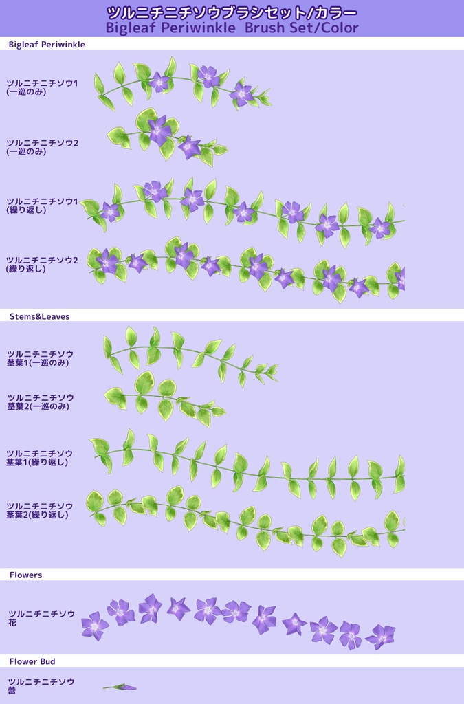 ツルニチニチソウブラシセット カラー/クリスタ