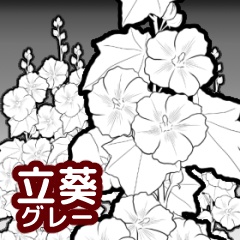 立葵ブラシセット グレー/クリスタ