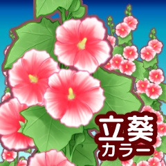 立葵ブラシセット カラー/クリスタ