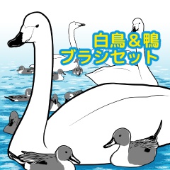 白鳥&鴨ブラシセット/クリスタ