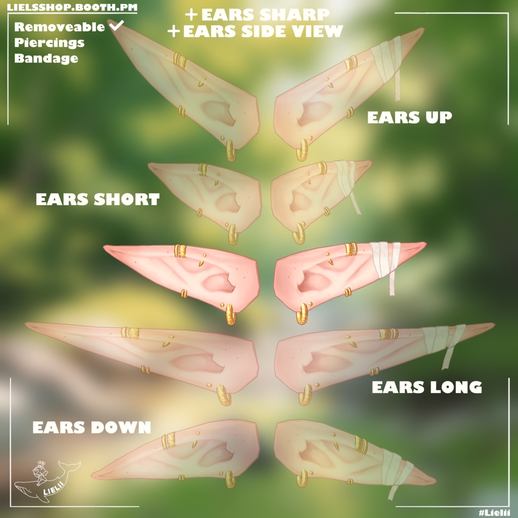 🌱Wonderous🍃 【19avatars】