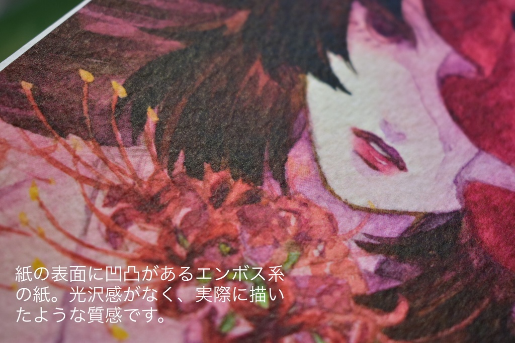 ポストカード15種