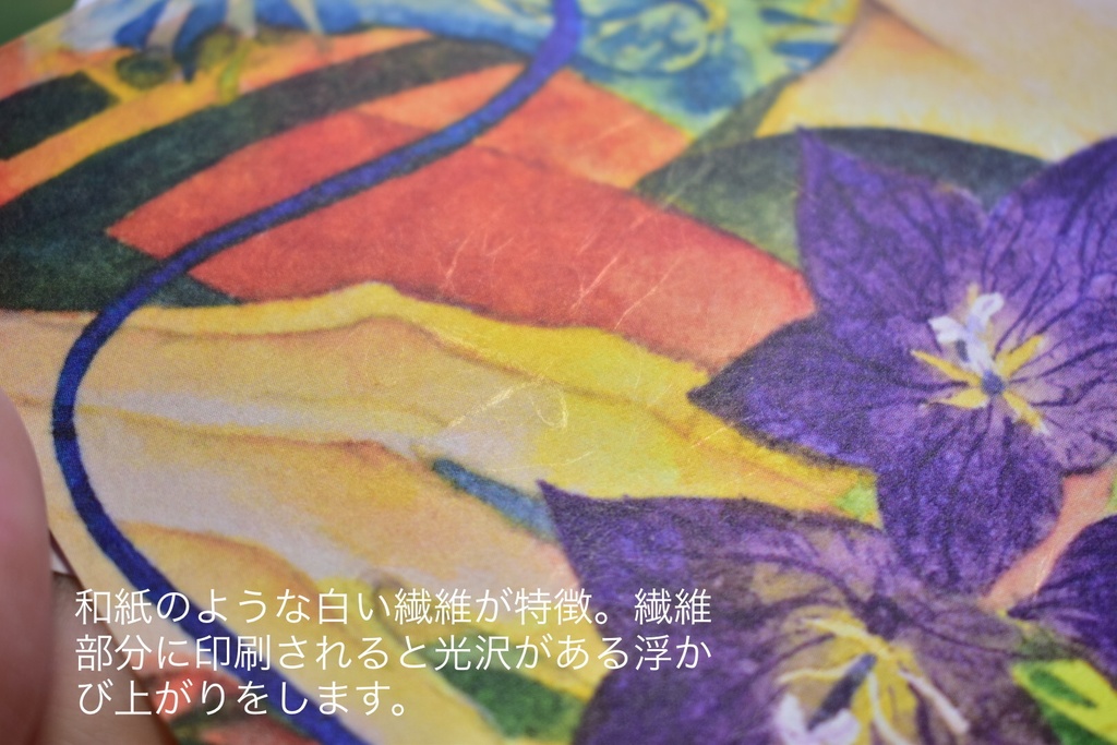 ポストカード15種