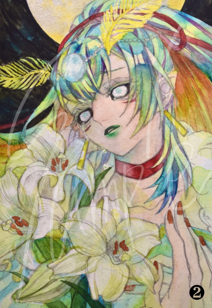 ポストカード15種