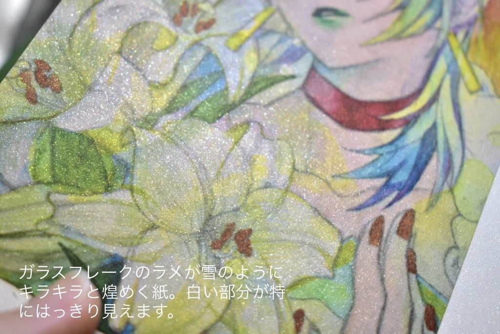 ポストカード15種