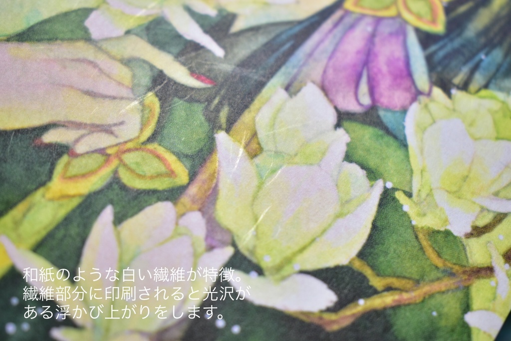 ポストカード15種