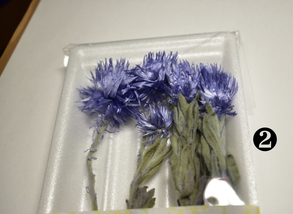 【受注生産】ガラスドーム・ドライフラワー