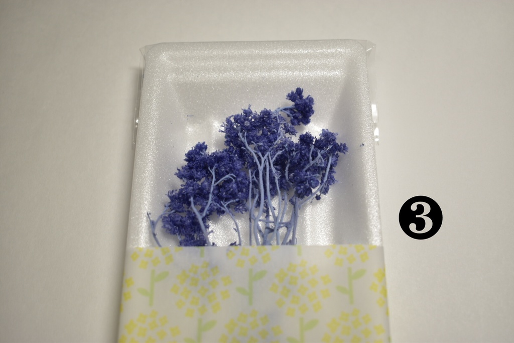 【受注生産】ガラスドーム・ドライフラワー