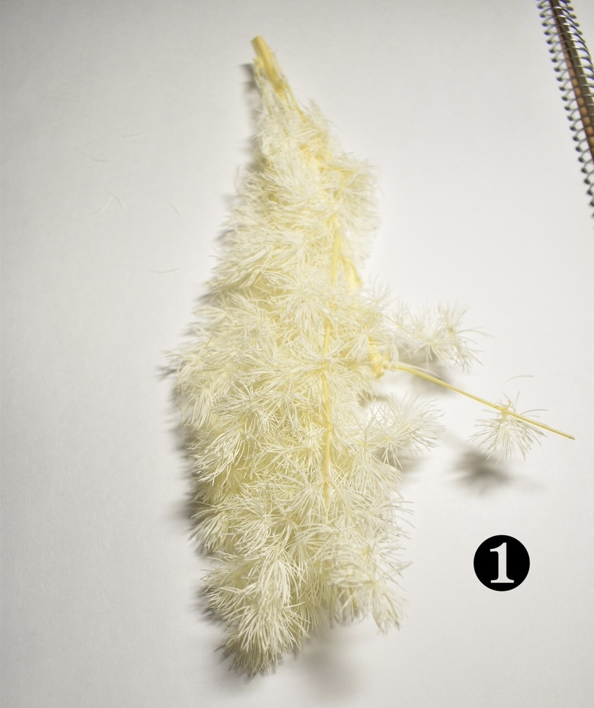 【受注生産】ガラスドーム・ドライフラワー