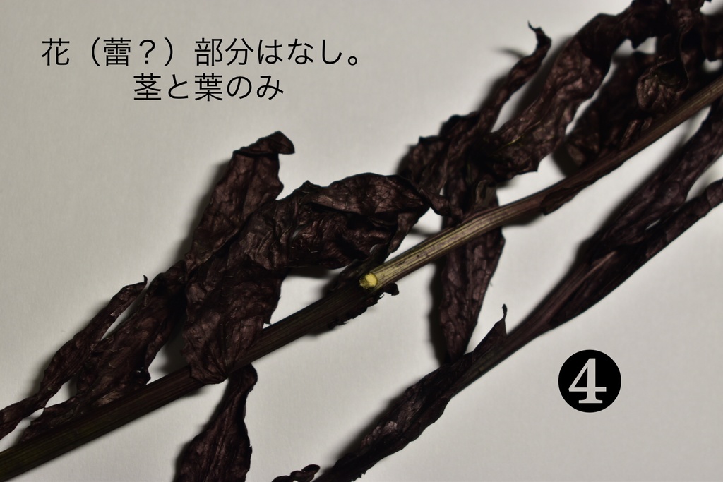 【受注生産】ガラスドーム・ドライフラワー