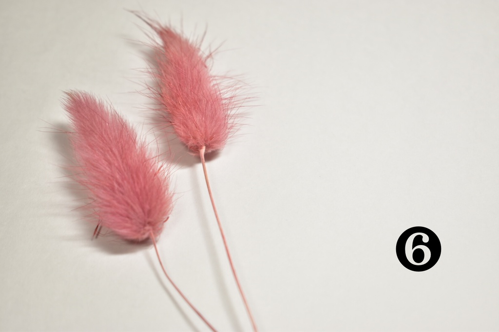 【受注生産】ガラスドーム・ドライフラワー