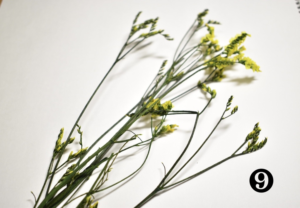 【受注生産】ガラスドーム・ドライフラワー