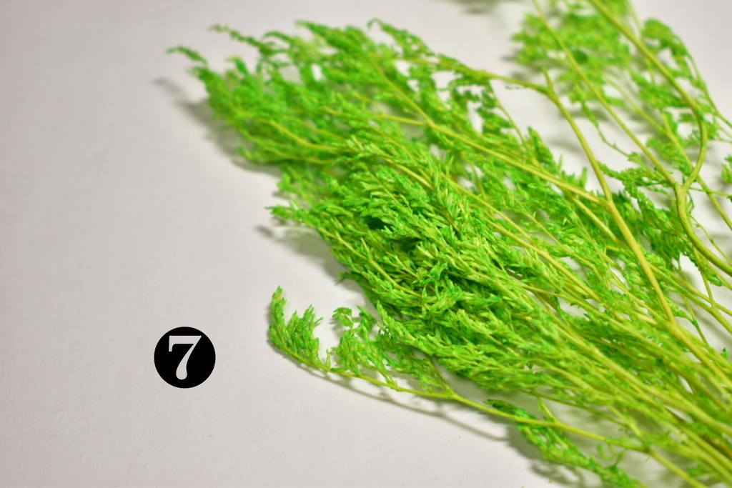 【受注生産】ガラスドーム・ドライフラワー