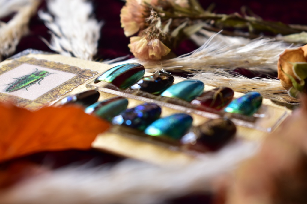 ネイルチップ「ヤマトタマムシ」