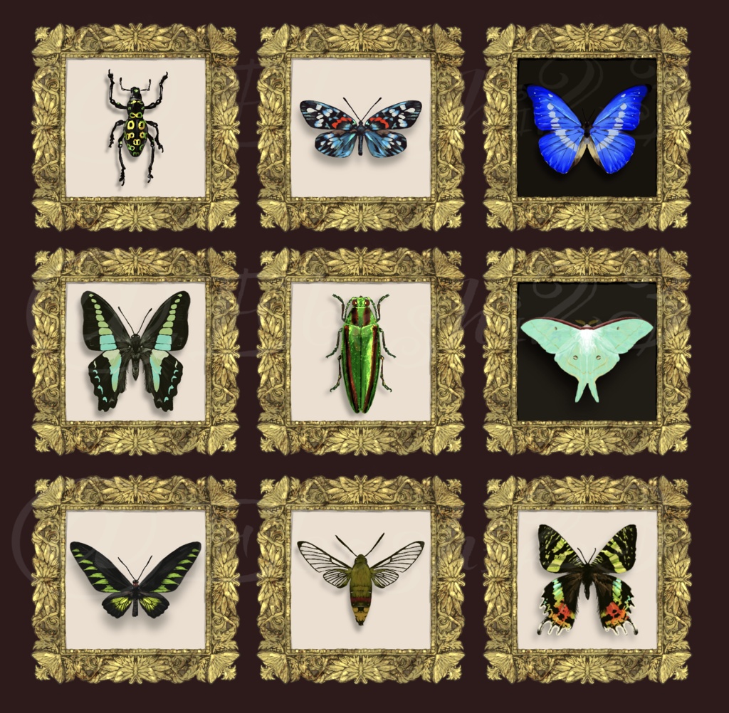 昆虫ステッカー9種