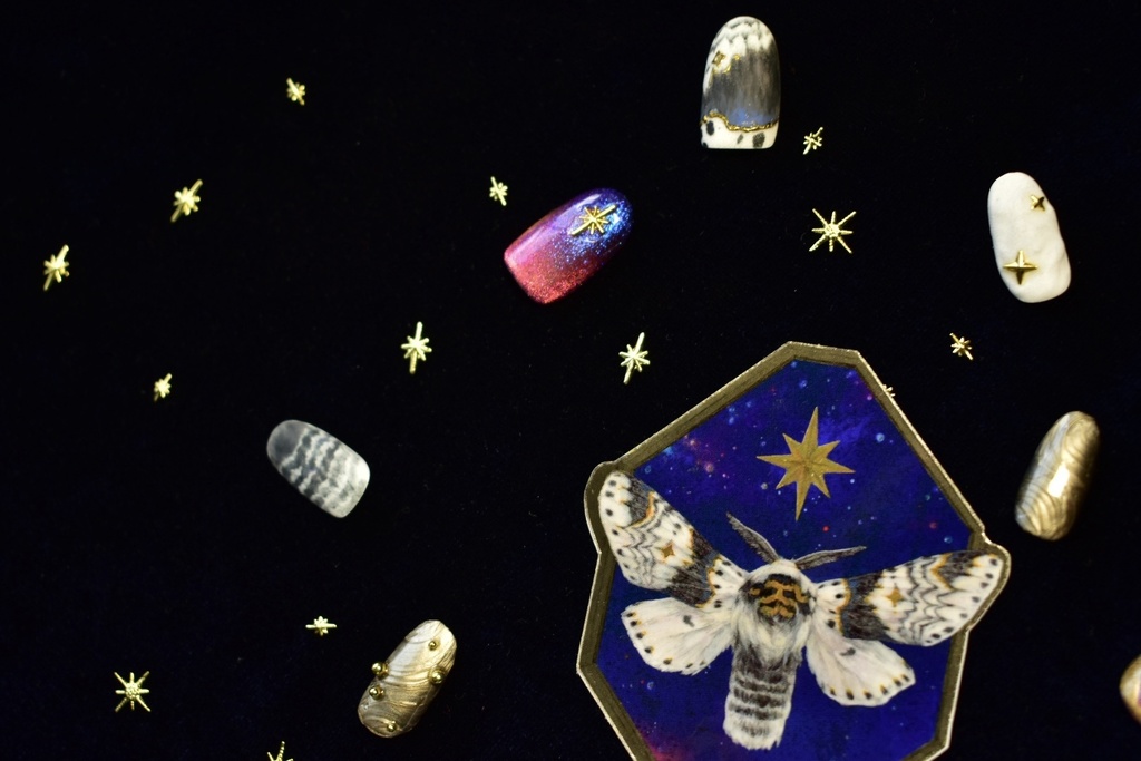 ネイルチップ「星の模様の蛾」受注生産