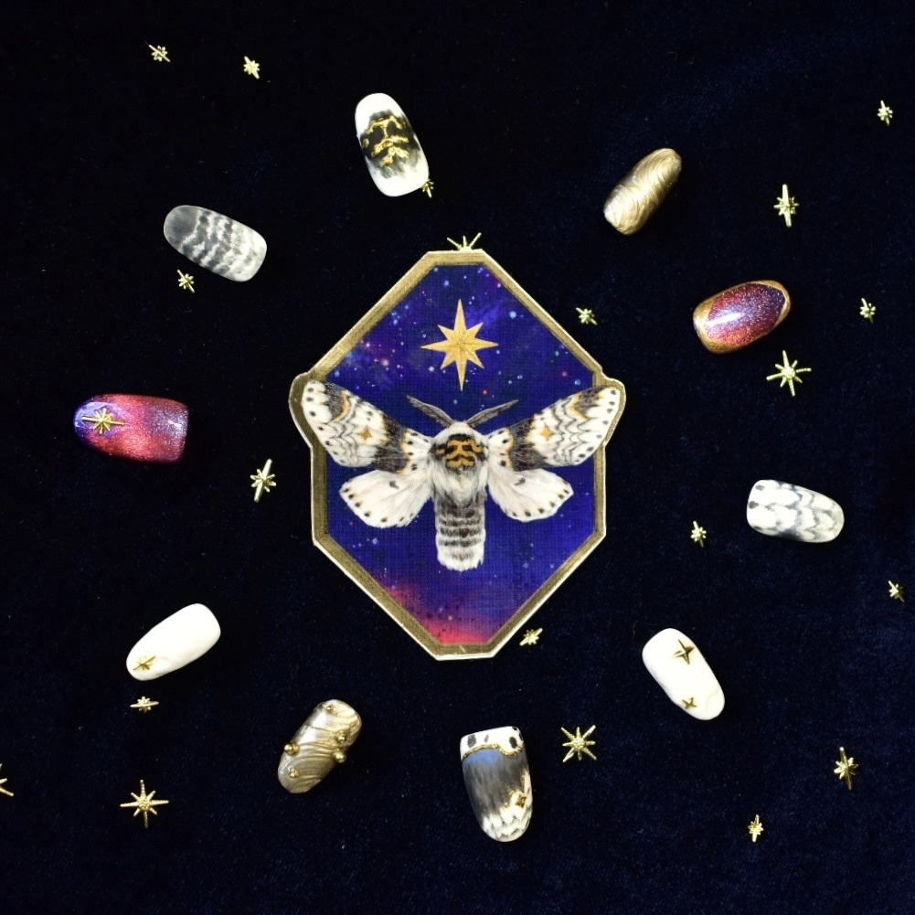 ネイルチップ「星の模様の蛾」受注生産